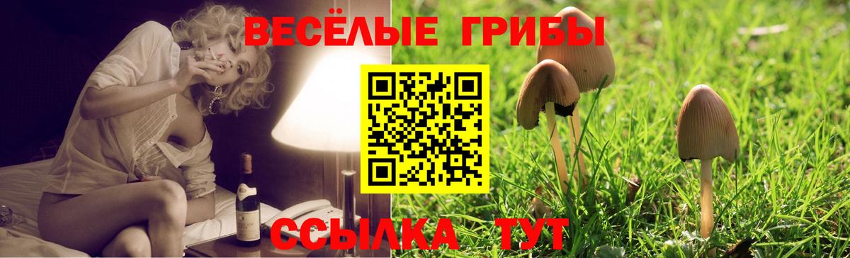 Псилоцибиновые грибы прущие грибы  Вход с VPN  Ейск 